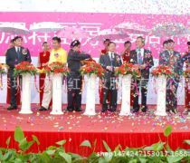 开业庆典策划服务优质商家置顶推荐产品